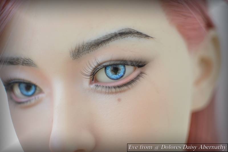 plantegenest review image 3