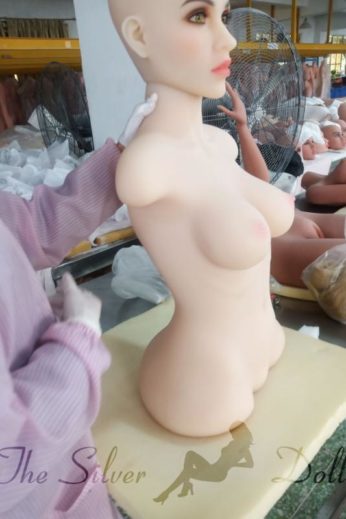82cm Torso