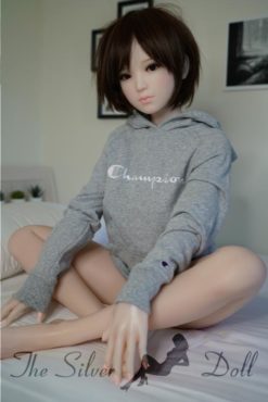 Erian en sweatshirt gris